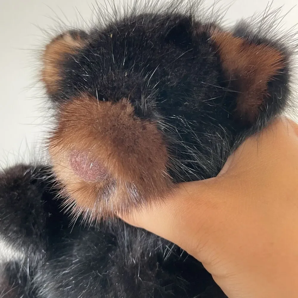 Rare Bear Vtg. Mink Real Fur Teddy Bear Plush Toy Stuffed Animal Black Mink 9